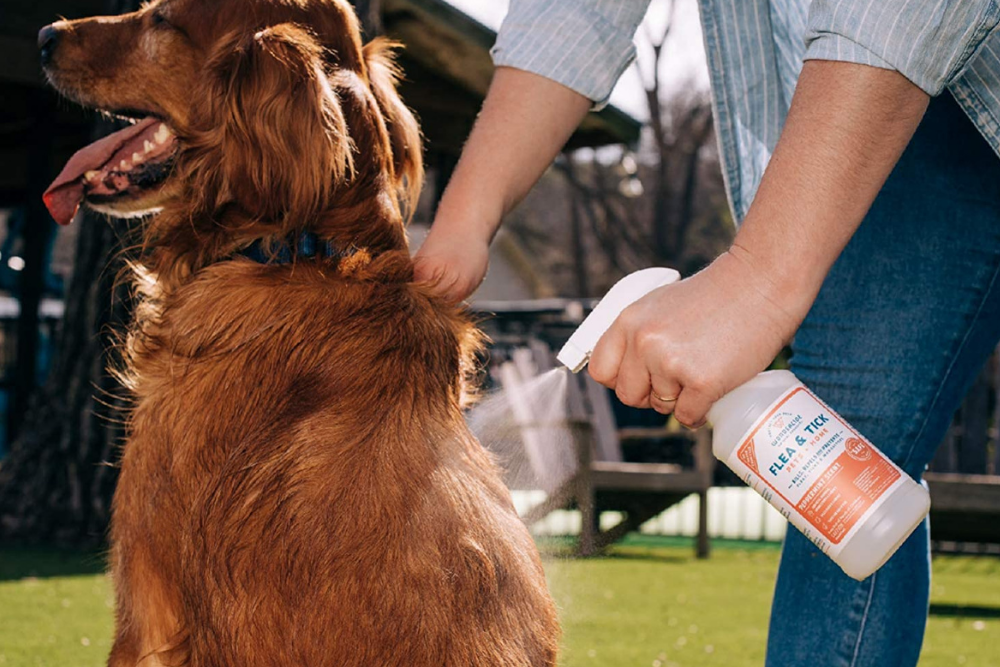 pet safe flea spray
